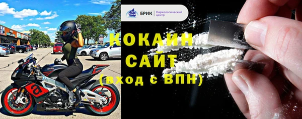 стаф Алзамай