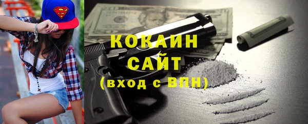стаф Алзамай
