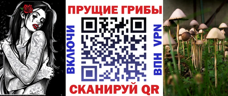 Псилоцибиновые грибы Cubensis  площадка клад  Бежецк 